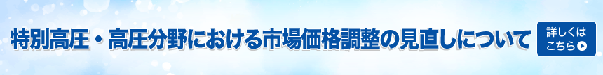 特別高圧・高圧分野における市場価格調整の見直しについて